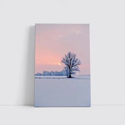Frost Covered Tree Winter Sunset Field