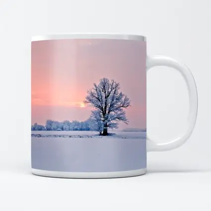 Frost Covered Tree Winter Sunset Field