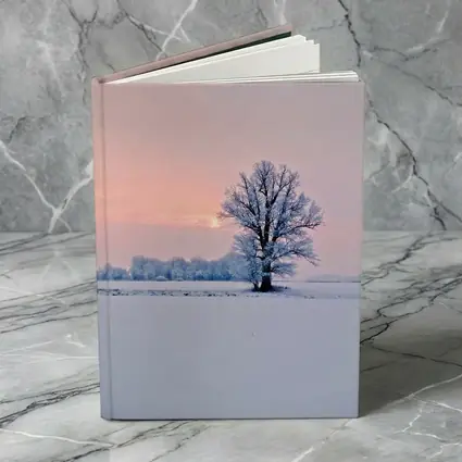 Frost Covered Tree Winter Sunset Field