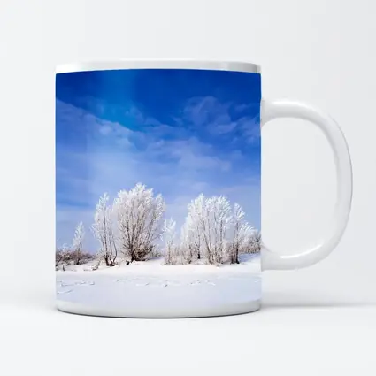 Frost Covered Trees Snowy Winter Landscape