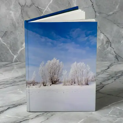 Frost Covered Trees Snowy Winter Landscape