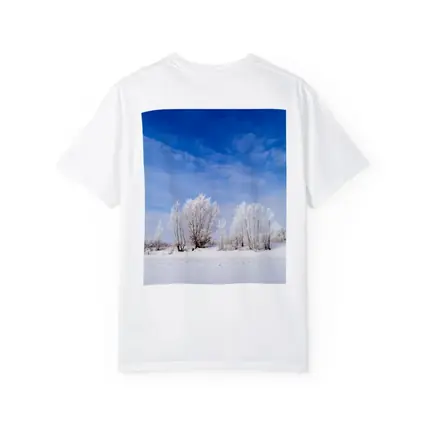 Frost Covered Trees Snowy Winter Landscape