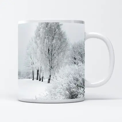 Frost Covered Birch Trees Winter Snow Scene