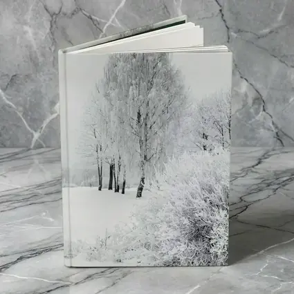 Frost Covered Birch Trees Winter Snow Scene