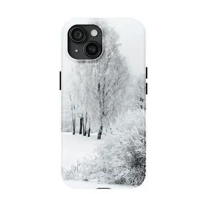Frost Covered Birch Trees Winter Snow Scene