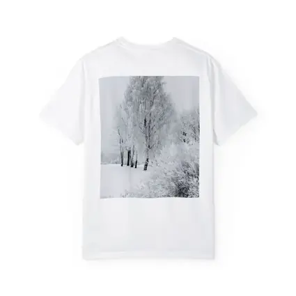 Frost Covered Birch Trees Winter Snow Scene