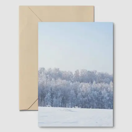 Frost Covered Trees Snowy Winter Field