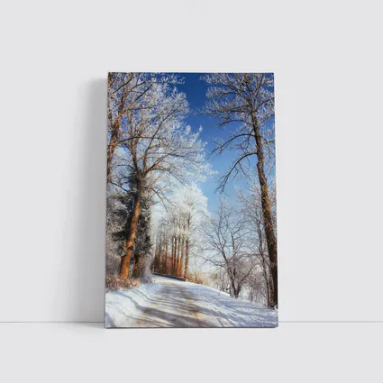 Snowy Country Road Frost Covered Trees Winter
