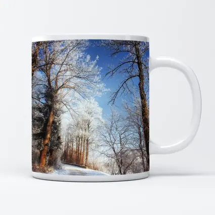 Snowy Country Road Frost Covered Trees Winter