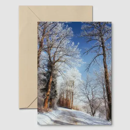 Snowy Country Road Frost Covered Trees Winter
