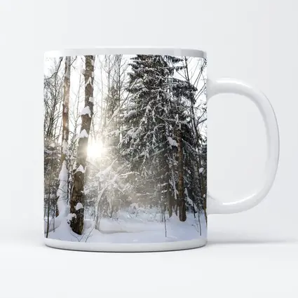 Snowy Winter Forest Sunlight Through Trees