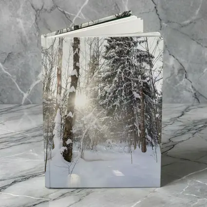 Snowy Winter Forest Sunlight Through Trees