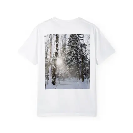 Snowy Winter Forest Sunlight Through Trees