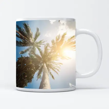 Palm Trees Looking Up Sunny Blue Sky