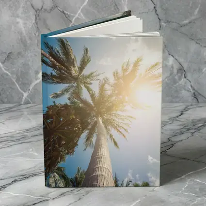 Palm Trees Looking Up Sunny Blue Sky