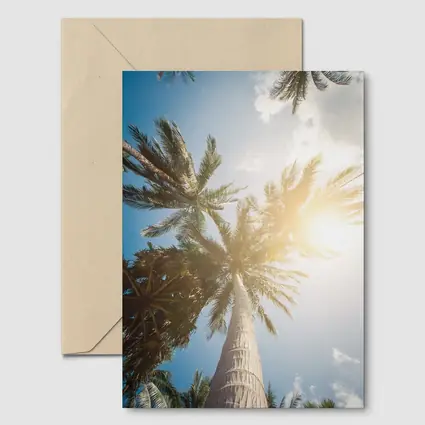 Palm Trees Looking Up Sunny Blue Sky