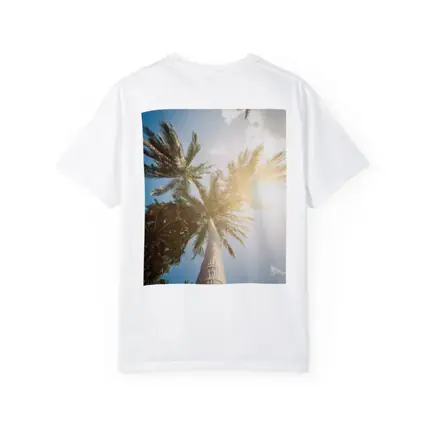 Palm Trees Looking Up Sunny Blue Sky