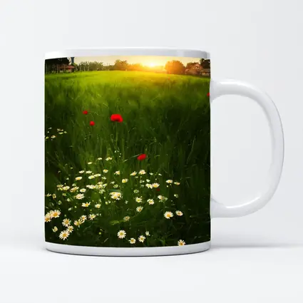 Daisy And Poppy Field Golden Sunset
