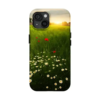 Daisy And Poppy Field Golden Sunset