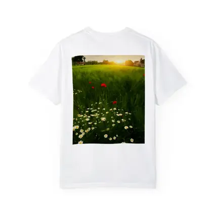 Daisy And Poppy Field Golden Sunset