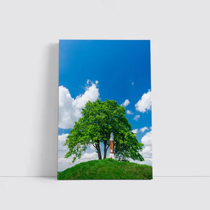 Lone Tree on Hill Blue Sky