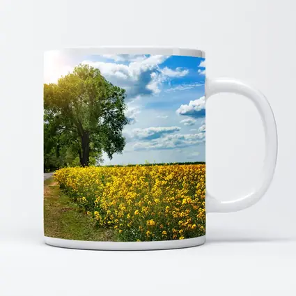 Yellow Rapeseed Field Road Large Tree