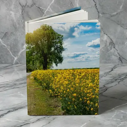 Yellow Rapeseed Field Road Large Tree