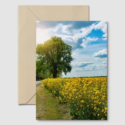 Yellow Rapeseed Field Road Large Tree