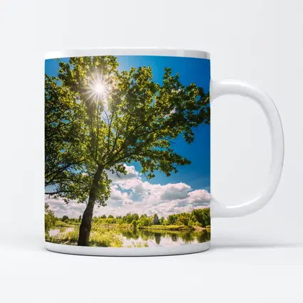 Oak Tree Sun Flare River Summer