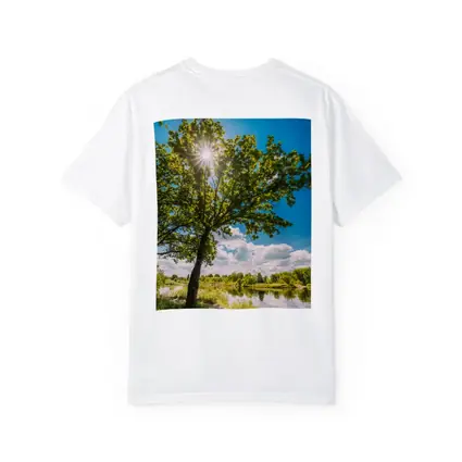 Oak Tree Sun Flare River Summer