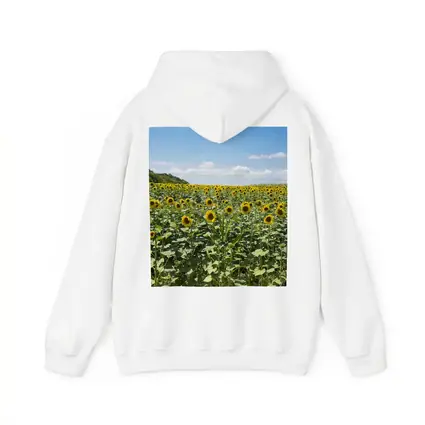 Sunflower Field Under Blue Summer Sky