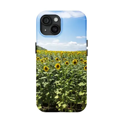 Sunflower Field Under Blue Summer Sky