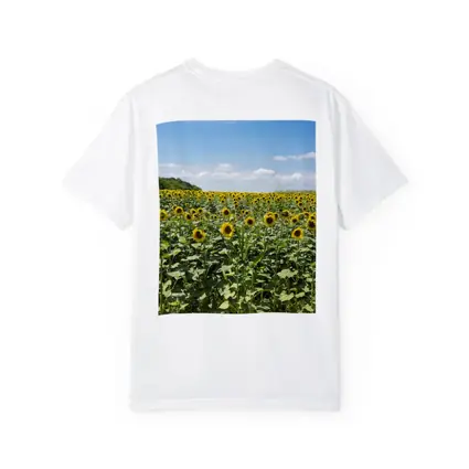 Sunflower Field Under Blue Summer Sky