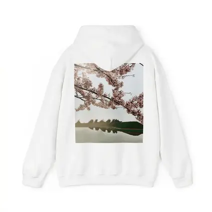 Cherry Blossoms Reflecting On Misty Lake