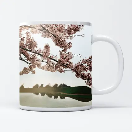 Cherry Blossoms Reflecting On Misty Lake
