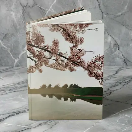 Cherry Blossoms Reflecting On Misty Lake