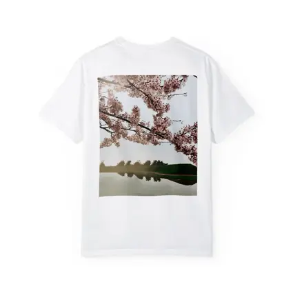 Cherry Blossoms Reflecting On Misty Lake
