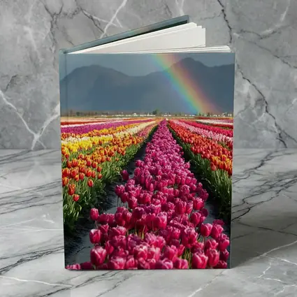 Tulip Fields Rainbow Mountains Colorful Landscape