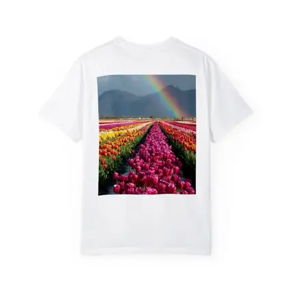 Tulip Fields Rainbow Mountains Colorful Landscape