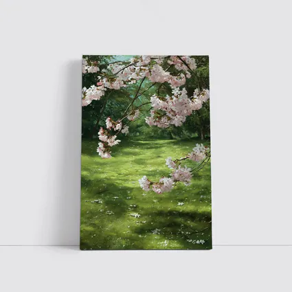 Cherry Blossom Tree Green Park Spring