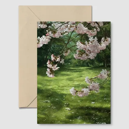 Cherry Blossom Tree Green Park Spring