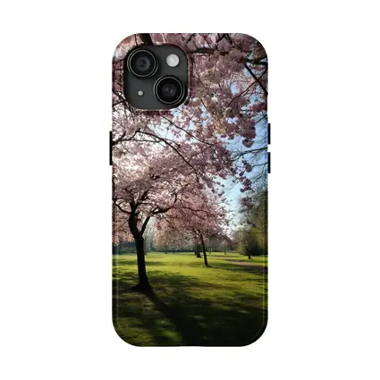 Cherry Blossom Trees in Sunny Park