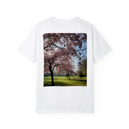 Cherry Blossom Trees in Sunny Park