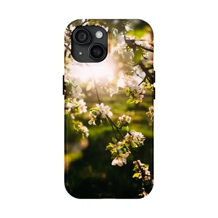Apple Blossom Branches Sun Flare Spring