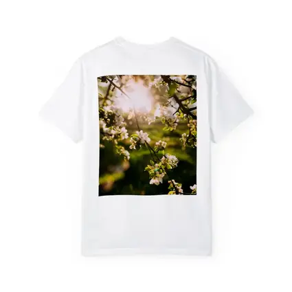 Apple Blossom Branches Sun Flare Spring