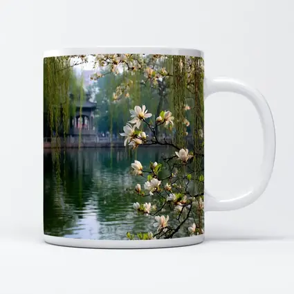Magnolia Blossoms Over Calm Green Lake
