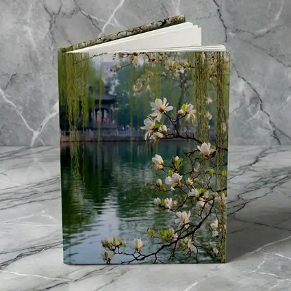 Magnolia Blossoms Over Calm Green Lake