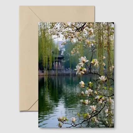 Magnolia Blossoms Over Calm Green Lake