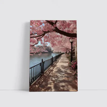 Cherry Blossom Waterfront Walkway Spring Scene