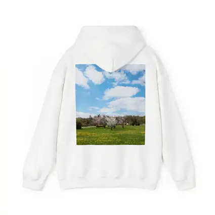 Spring Meadow Blooming Trees Blue Sky